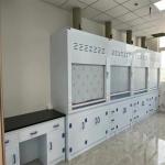 Digital Control Laboratory Fume Hood For Chemical Fume Extraction Noise ≤60dB for sale