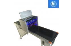 China Computer Control Egg Printing Machine With 600DPI High Vertical Resolution Rate supplier