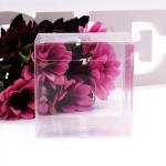 Transparent Embossing Debossing Retail Plastic Boxes for sale