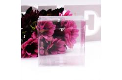 China Transparent Embossing Debossing Retail Plastic Boxes supplier