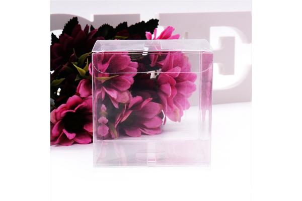Transparent Embossing Debossing Retail Plastic Boxes