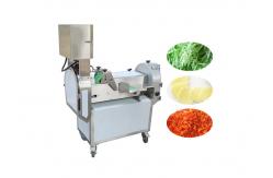 China 1000kg/H Multifunction Vegetable Cutting Machine supplier
