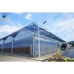 Modern Multi Span Agricultural Greenhouse PE Film Commercial Greenhouse Construction for sale