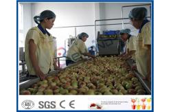 China Vegetable / Fruit Processing Equipment With Automated Sorting System CE / ISO9001 supplier