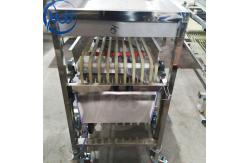 China Automatic Apple Grading Equipment , Orange Strawberry Fruit Sorting Machine supplier