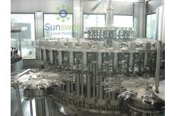 China Apple / Orange / Pineapple Juice Filling Machine , Automatic Bottled Drinks Filler supplier