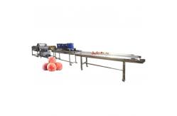 China Peach Cleaning Drying Machine Vegetable Cutter And Washing Machine Line supplier