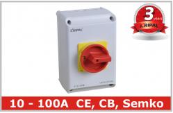 China Weatherproof 100 Amp Disconnect Switch with 1NO+1NC For Rotary Isolating supplier