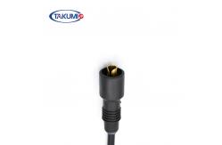 China Sparking Plug Generator for industrial engine MWM TCG 2020 v20 12453556 supplier