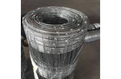China 3ft 4ft 5ft 8ft Farm Wire Mesh Fence Cattle Fencing Rolls Wear Resistance supplier