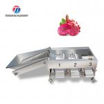 2.5KW Vegetable Fruit Sorting Machine Roller Barrel Grading equipment for sale