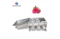 China 2.5KW Vegetable Fruit Sorting Machine Roller Barrel Grading equipment supplier