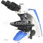 Infinity Compensation Wide Field Microscope A12.0302 Binocular Head , Y Style Body