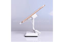 China Stand Alone Smartphone Power And Alarm Security Display Stand supplier