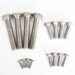 ASME ANSI B18.2.1 Gr2 Gr5 Titanium Bolts And Nuts Hex Head 1/4''-20 TPI 1'' for sale