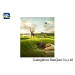PP/PET Large Format Lenticular Printing , 3 Dimensional Pictures Creative Design