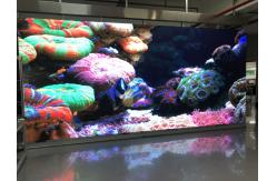 China P4.81 RGB SMD LED Panel Rental WIth 500x500mm Aluminum Cabinet supplier