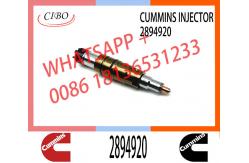 China Diesel Fuel Injector 2872405 5579417 2894920 5579415 For Cummins supplier