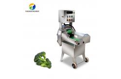 China 1.25KW Celery Vegetable Processing Machine Leeks Micro Switch Single Head supplier