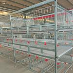 Baby Broiler Chicken Cage Farming Coop Animal Husbandry Equipment for sale