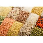 Automatic Granule Packing Machine Food Hardware Pouch Machine