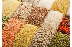 China Automatic Granule Packing Machine Food Hardware Pouch Machine supplier