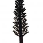 Telecommunication Obstruction Camouflaged Palm Tree Tower Carbon Steel for sale
