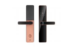 China S819 Smart Fingerprint Locks Zigbee Biometric Door Locks For Home supplier