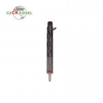 Common Rail Injector EJBR05101D EJBR05102D 166001137R