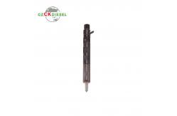 China Common Rail Injector EJBR05101D EJBR05102D 166001137R supplier