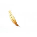 Exquisite Feather  Metal Feather Bookmark Ideal Gift Support  Classical Through Carved for sale