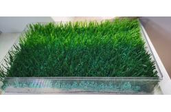 China PE Monofilament 5/8'' Artificial Turf Grass Wear Resistant Non Pollution supplier