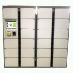 18 Door Supermarket Specific Use Luggage Lockers Customize Cold Rolled Steel Material for sale