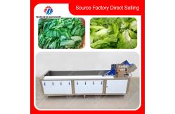 China 380V 240KG Diffusion Injection Fruit And Vegetable Washing Machine Easy To Operate supplier