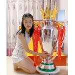 390mm Height Premier League Trophy CCC For Football Match for sale