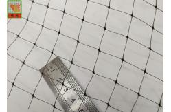China Light Bird PP Sqaure Hole 15mm Garden Mesh Netting supplier