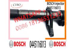China Piezo Fuel Injector 0445116012 0445116013 0445116064 0445116065 02C2C40577 1980WS 9X2Q-9K546-DC supplier