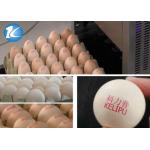 Touch Screen Egg Code Printing Machine / Ink Jet Printer u Disk Loading for sale
