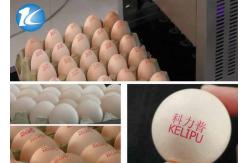 China Touch Screen Egg Code Printing Machine / Ink Jet Printer u Disk Loading supplier