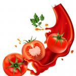 Aseptic Concentrated Tomato Sauce Machine With Large Bag for sale
