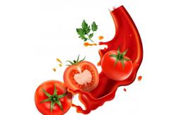 China Aseptic Concentrated Tomato Sauce Machine With Large Bag supplier