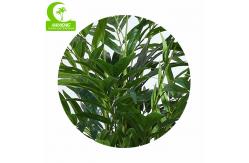 China 110cm Anti UV Artificial Areca Palm Tree , Large Bonsai Tree For Office supplier