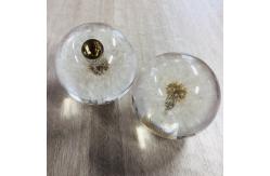 China Gear shift knob with real dandelion inside supplier