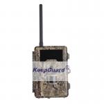 PIR FOV55° 12MP IR HD Hunting Cameras , Motion Detection Wildlife Camera for sale
