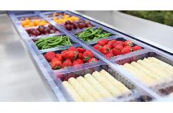 China Fresh Vegetable Modified Atmosphere Packing Machine Plastic Box With Automated Processes supplier