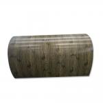ID 508MM Ral Standard Color Coated Prepainted Steel Coil Coated Coil for sale