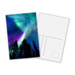 Animal Design 3D Lenticular Printing Service Custom Lenticular Postercard for sale