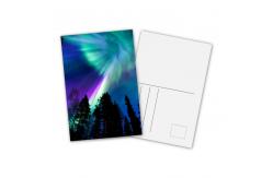 China Animal Design 3D Lenticular Printing Service Custom Lenticular Postercard supplier