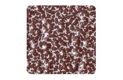 China Garden Facilities Metallic Powder Coat With White Copper Shining Metal Effect supplier