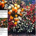 OEM 40cm Height Artificial Green Plant Wall Indoor Decorative for sale
